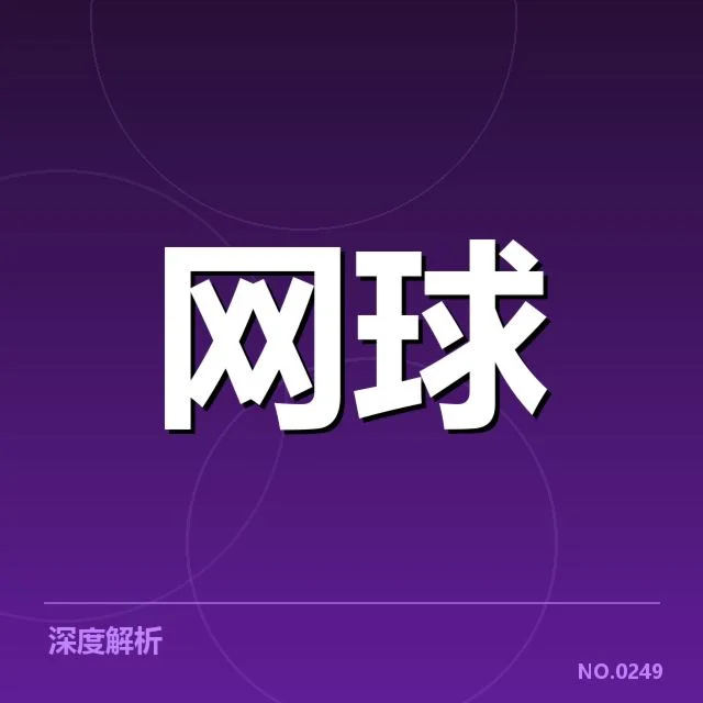 戴维斯杯伤病恢复:球员体能调控成关键疑问